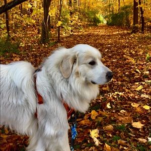 Meet your Posher, Douglas